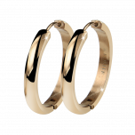 Creolen Gold 2 cm