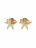 Ohrringe Seastar