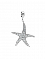 Anhänger Seastar