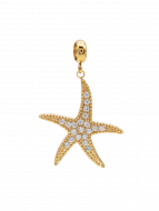 Anhänger Seastar