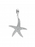 Anhänger Seastar