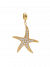 Anhänger Seastar