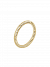Ring Filo