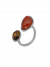 Ring Terra