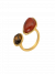 Ring Terra