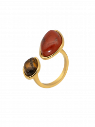 Ring Terra